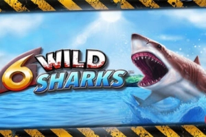 6 Wild Sharks slot artwork