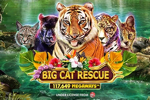 Big Cat Rescue Megaways slot artwork