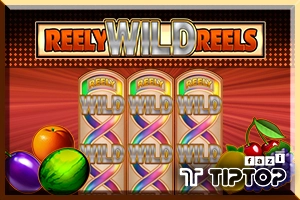 Reely Wild Reels slot artwork