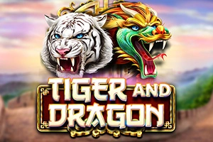 Tiger and Dragon slot artwork