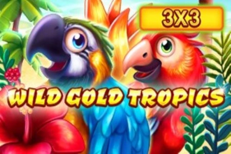 Wild Gold Tropics 3x3 slot artwork